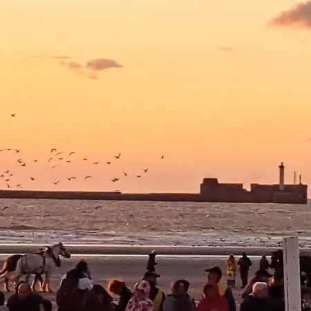 Vakantiehuis La Grange 8personnes Au Sein D'un Elevage De Chevaux Brucquedal